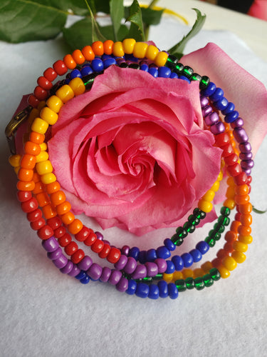 Pride No. 5